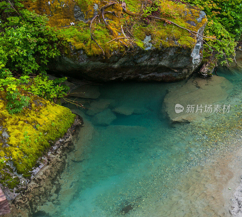 贝克山-斯诺夸尔米国家森林- 2011年7月